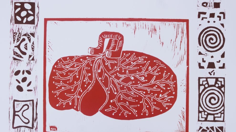 Magnitude é uma xilogravura do fígado, nas cores magenta e sépia sobre papel alta alvura de 220g, 68x82 cm O fígado na antiguidade simbolizava a leitura da sorte. Atualmente é o maior órgão interno do corpo, responsável pela filtragem das toxinas que entram no sistema circulatório. Esotericamente, é o órgão que processa a raiva, consequentemente a violência